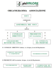 Organigramma Piu Valore Onlus